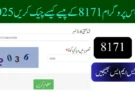 احساس پروگرام 8171 کے پیسے کیسے چیک کریں 2026