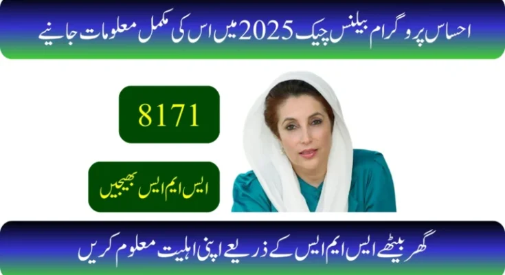 احساس پروگرام بیلنس چیک 2026