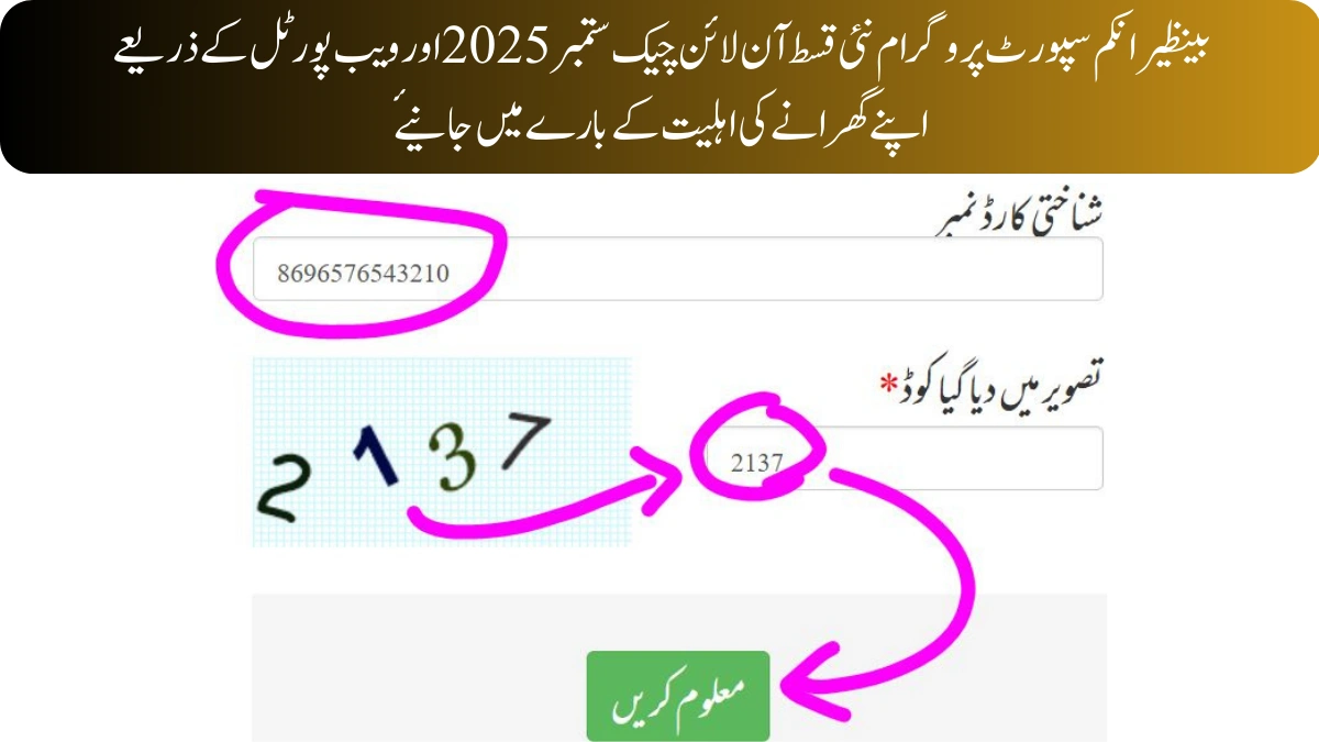 بینظیر انکم سپورٹ پروگرام نئی قسط آن لائن چیک جون 2026