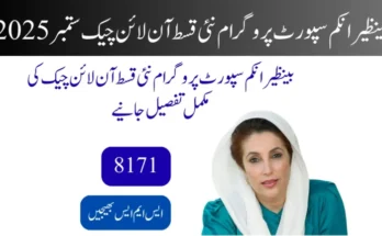 بینظیر انکم سپورٹ پروگرام نئی قسط آن لائن چیک جون 2026